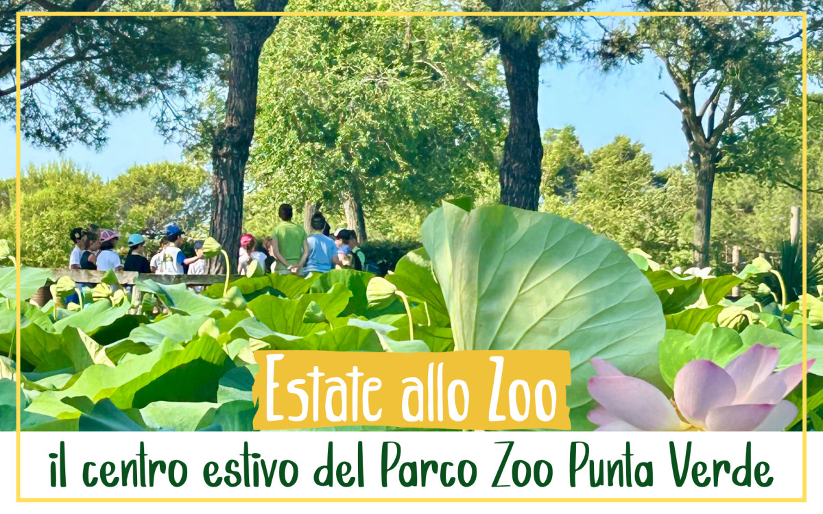 /uploads/Estate allo zoo categoria.png